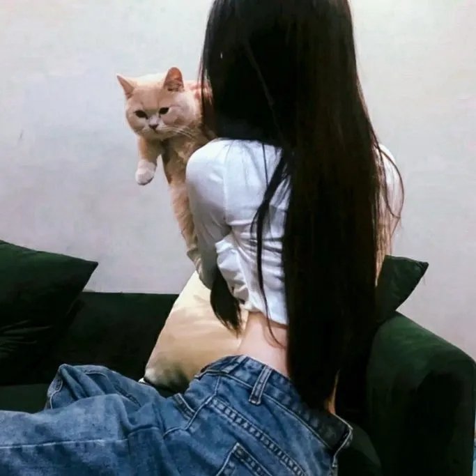 我亲爱的怪物伙伴